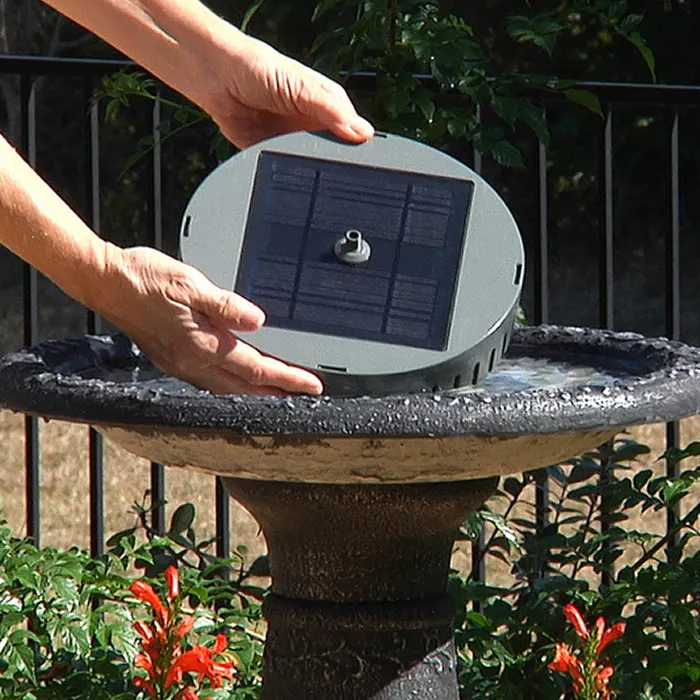 Aquanura Solar Bird Bath Insert