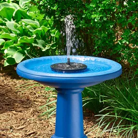 AquaNura Solar Mini Birdbath Insert