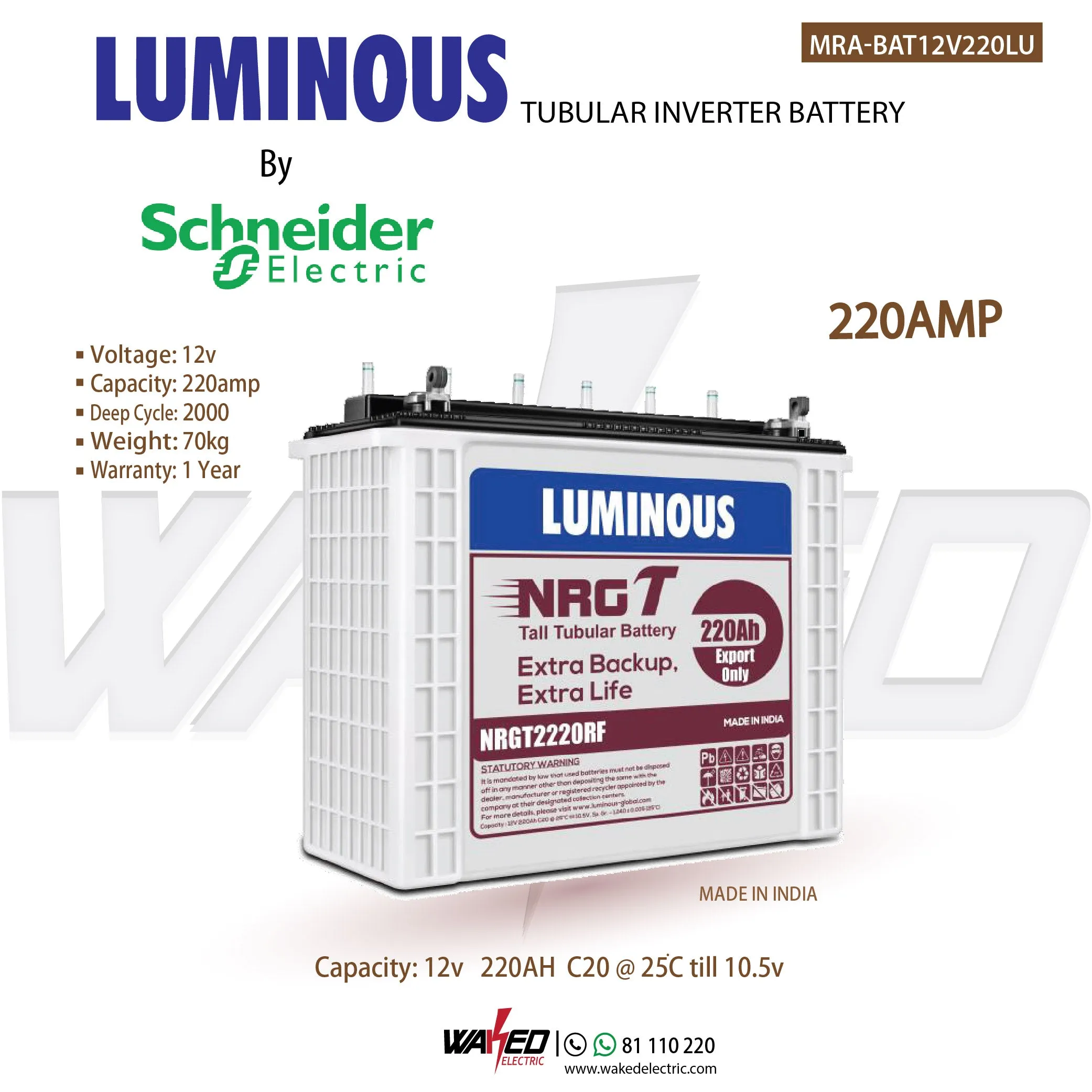 Battery - 220A - Luminous