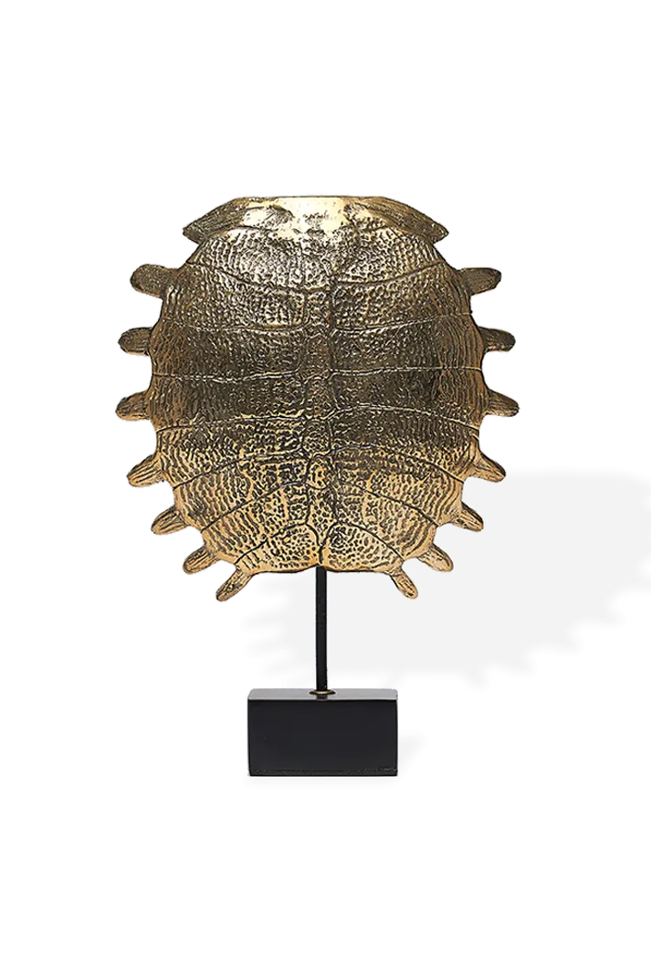 Bronze Turtle Shell