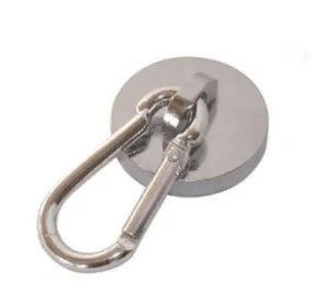 Magnetized Carabiner